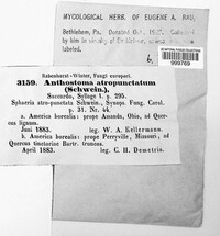Image Associated With the Occurence